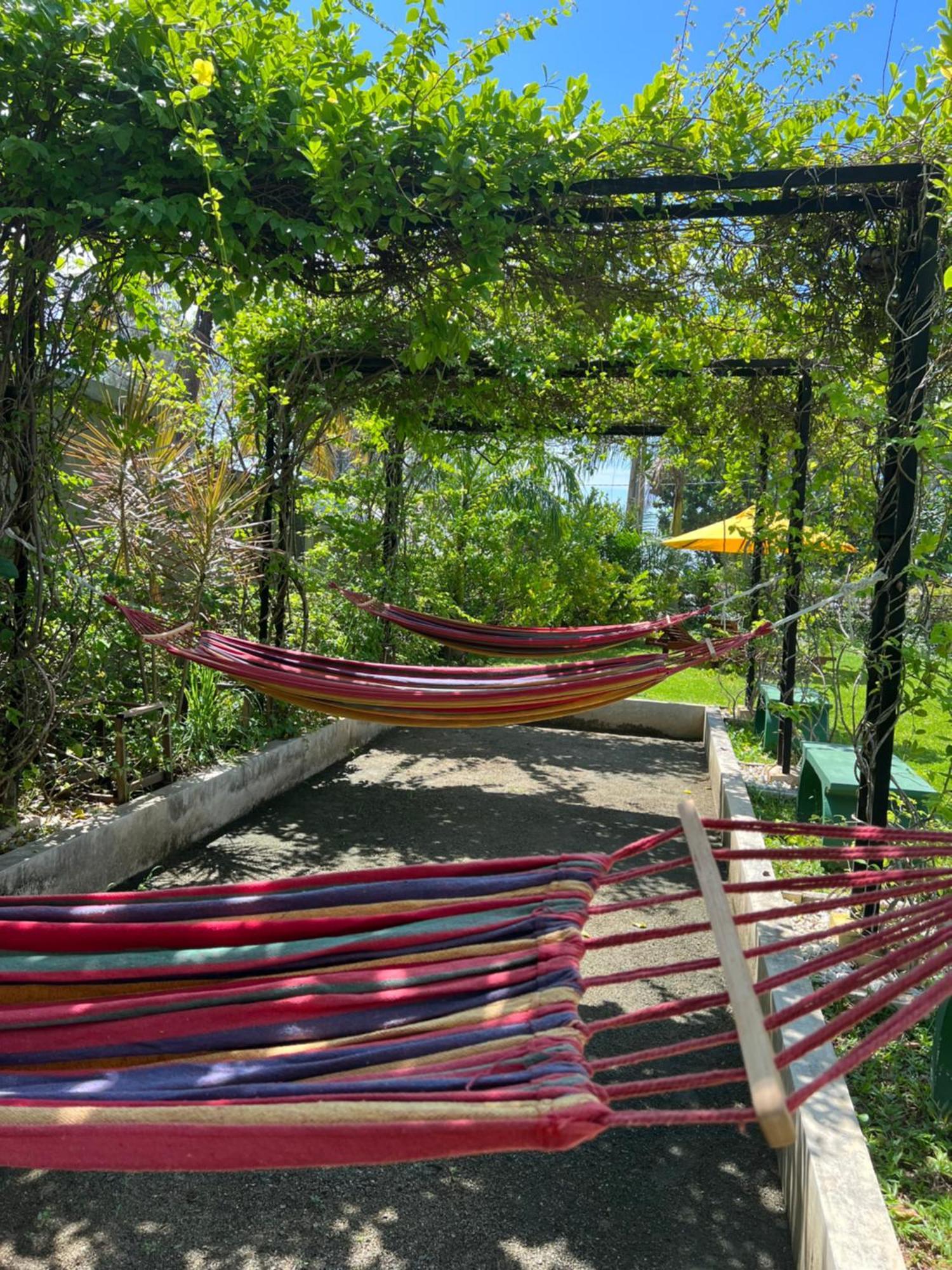 Boutique Villa Bougainvillea 韦利格默 外观 照片